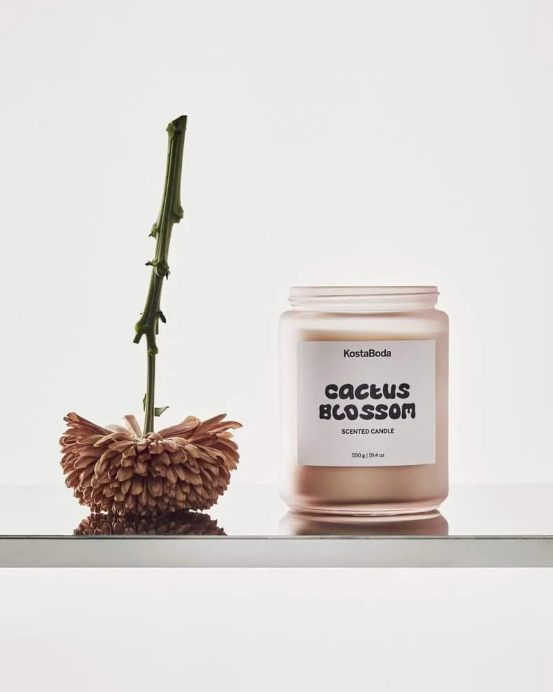 Mind scented candle, Cactus Blossom, 550 g Kosta Boda