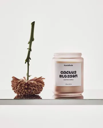 Mind scented candle - Cactus Blossom, 550 g - Kosta Boda