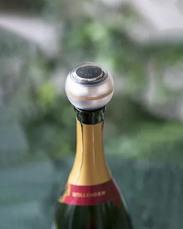 L'Atelier du vin bubble indicator® - Silver - L'Atelier du Vin