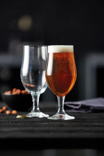 Juvel beer glass 49 cl 4-pack - Clear - Lyngby Glas