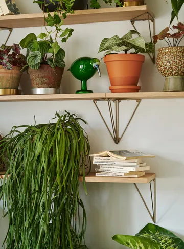 Pythagoras shelf - oak - Maze