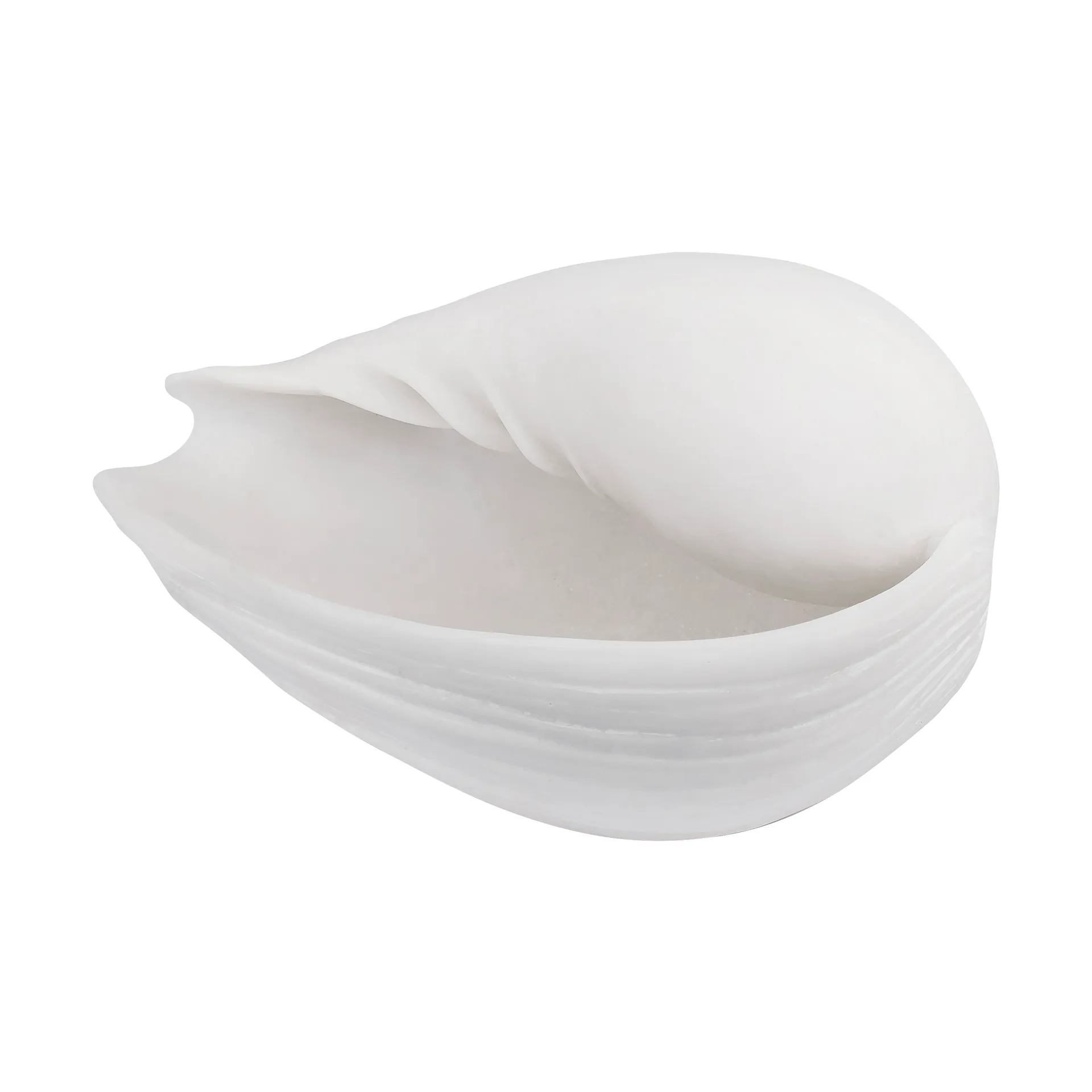 Conch decorative shell, Small Mette Ditmer