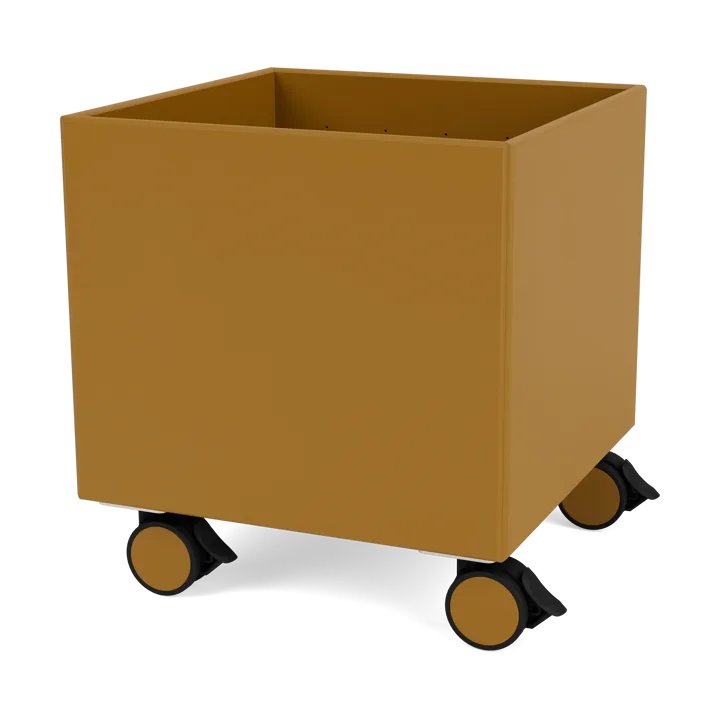 Colour Box I – S6161 - Amber - Montana