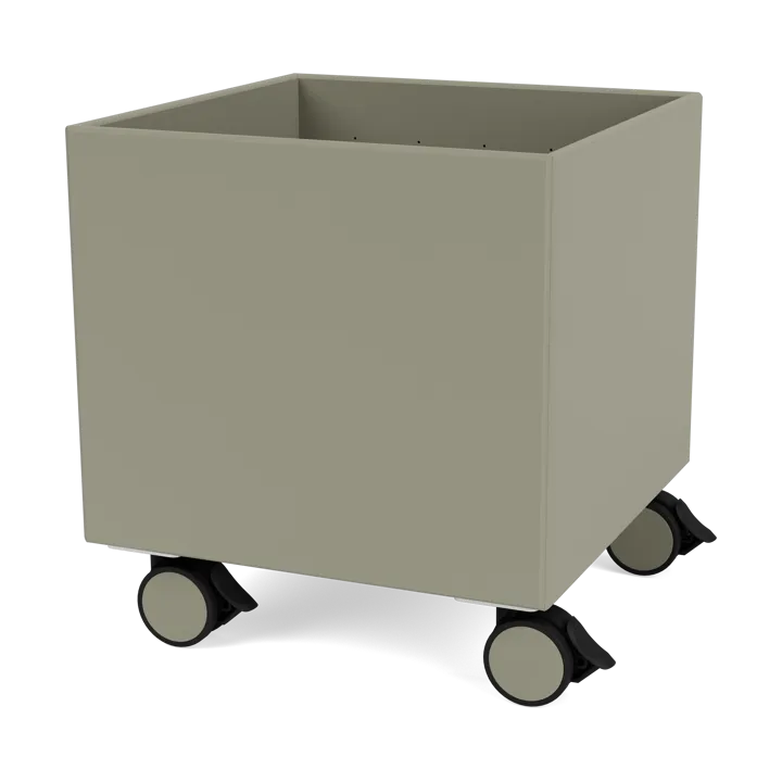 Colour Box I – S6161 - Fennel - Montana