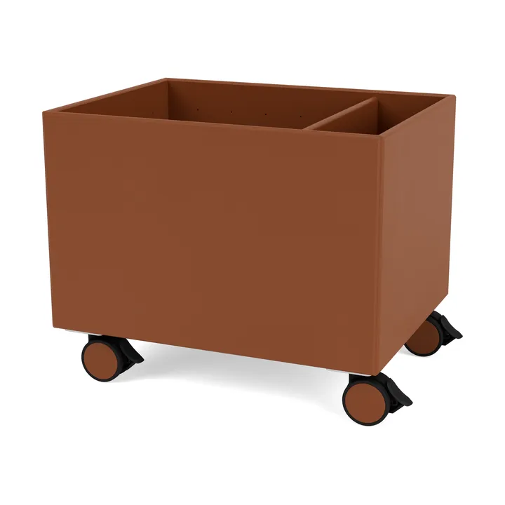 Colour Box II - Hazelnut - Montana