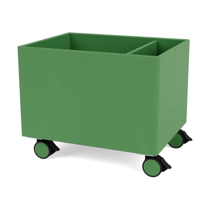Colour Box II - Parsley - Montana