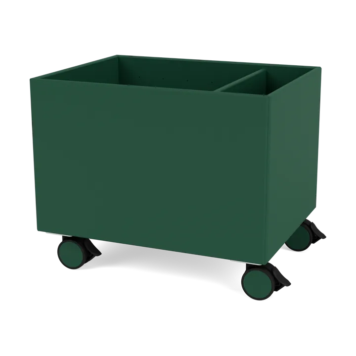 Colour Box II - Pine - Montana