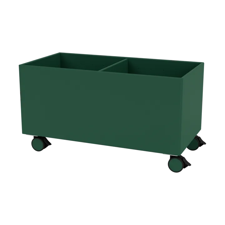 Colour Box III - Pine - Montana