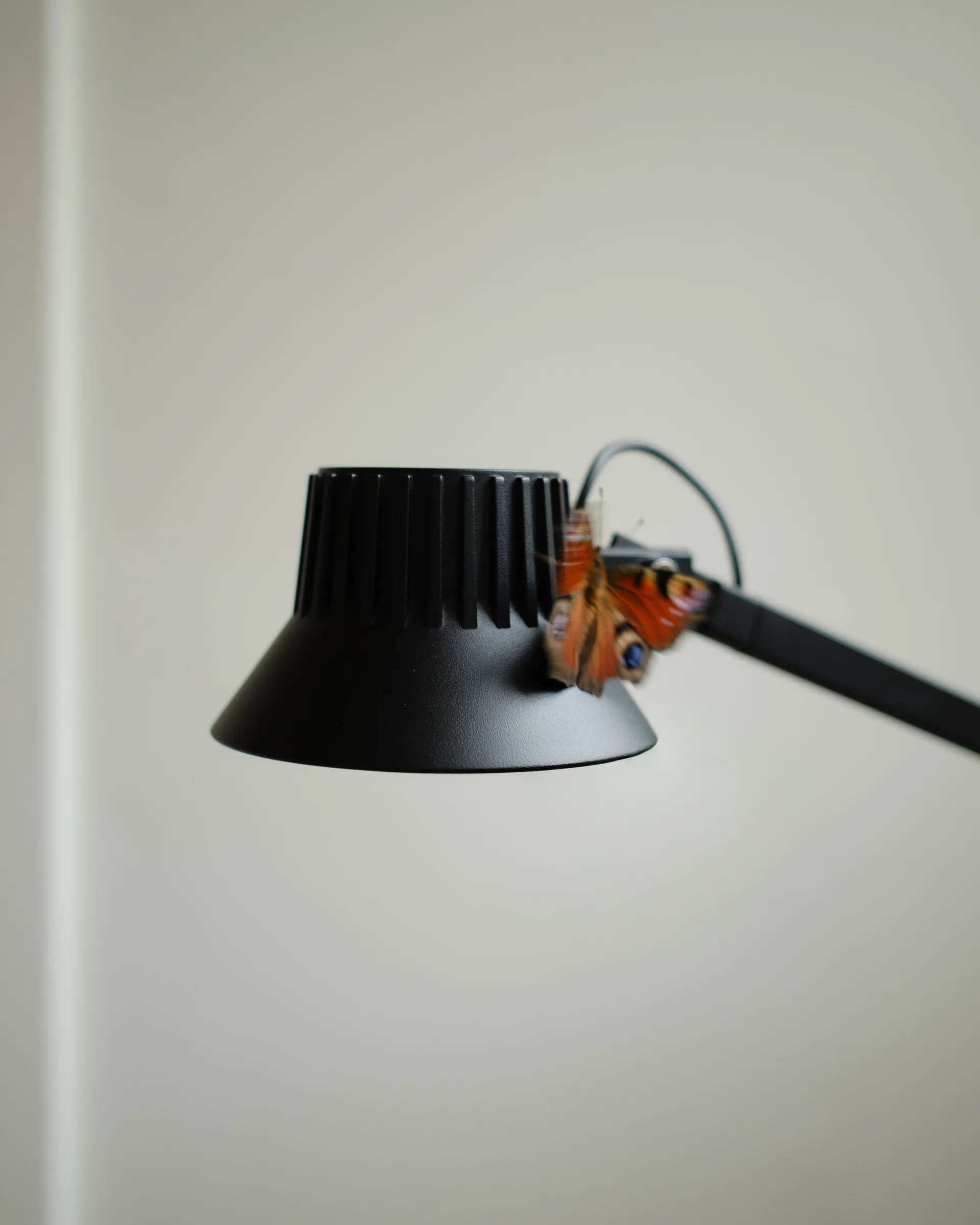 Dedicate floor lamp, Black, 112 cm Muuto