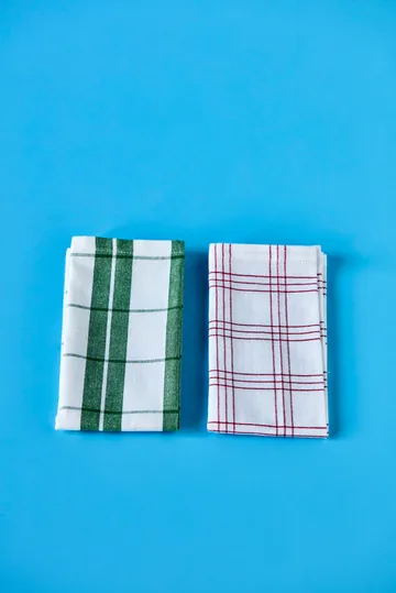 Chef cotton napkin 4-pack - Green - Nicolas Vahé