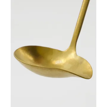Daily sauce ladle 17 cm - Gold finish - Nicolas Vahé
