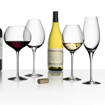 Difference fruit wine glass - 45 cl - Orrefors