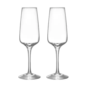 Pulse champagne glass 28 cl 2-pack - Clear - Orrefors