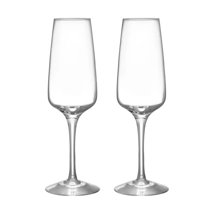 Pulse champagne glass 28 cl 2-pack - Clear - Orrefors