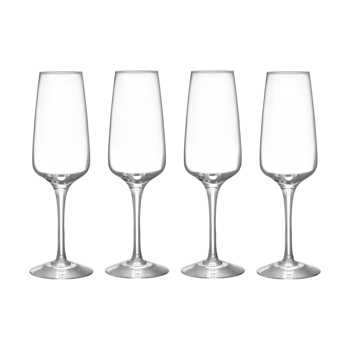 Pulse champagne glass 28 cl 4-pack - Clear - Orrefors