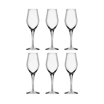 Sense champagne glass 25.5 cl 6-pack - Clear - Orrefors
