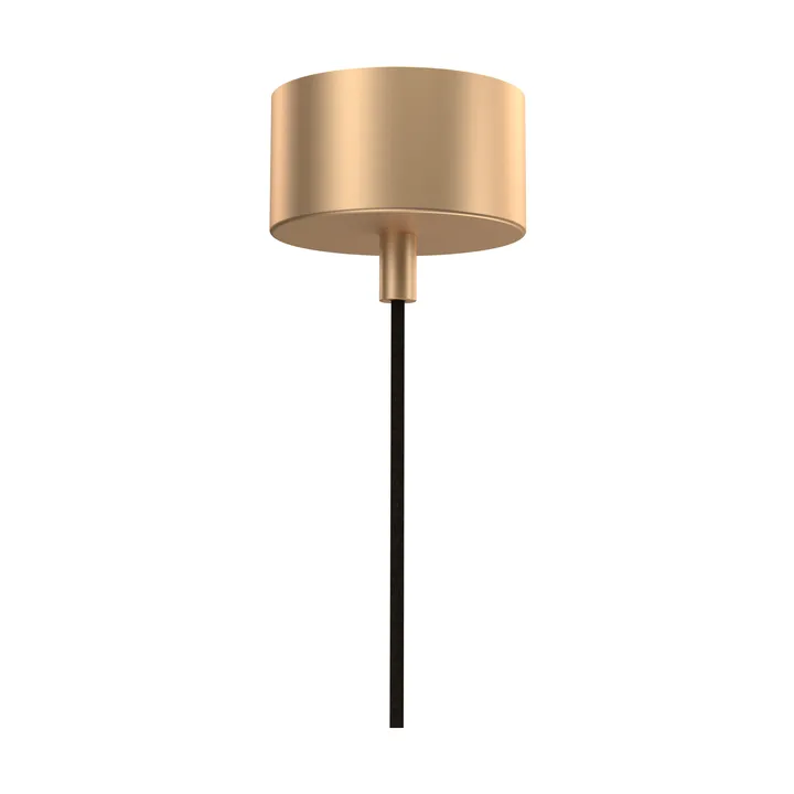 Punkt ceiling rose - Brushed Brass - Örsjö Belysning