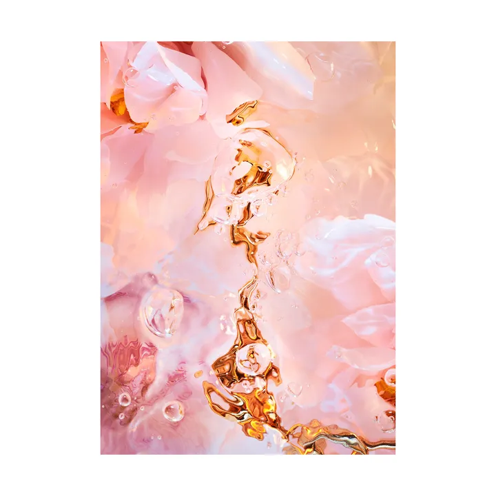 Flora Aquatica 02 poster - 30x40 cm - Paper Collective