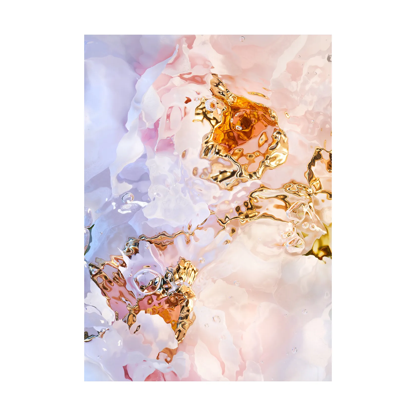Flora Aquatica 03 poster, 50x70 cm Paper Collective