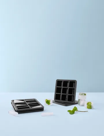 FREEZE-IT ice cube tray with lid - 5x19x19 cm - RIG-TIG