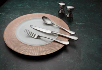 Radford Table knife matte - Stainless steel - Robert Welch