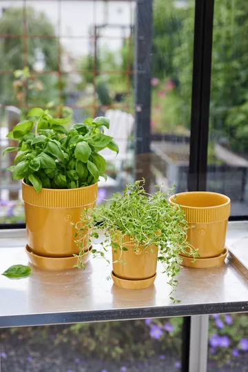 Elise herb pot Ø11 cm - Yellow - Sagaform