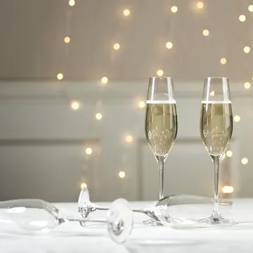 Karlevi champagne glass 4-pack - 21 cl - Scandi Living
