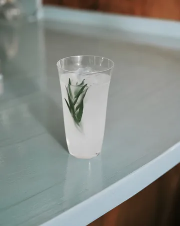Silhouette long drink glass 44 cl 4-pack - Clear - Serax