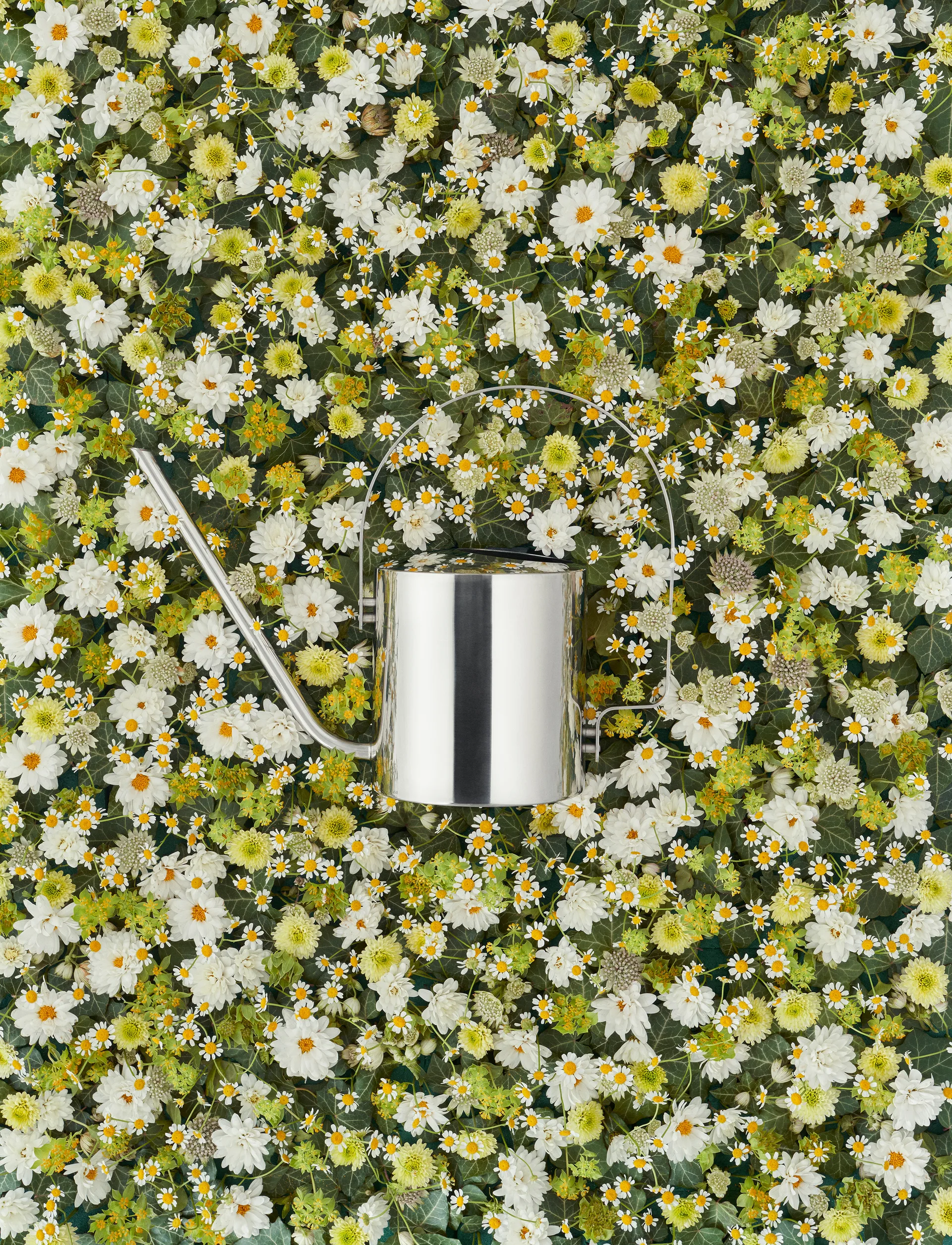 Original watering can 1.7 l, stainless steel Stelton
