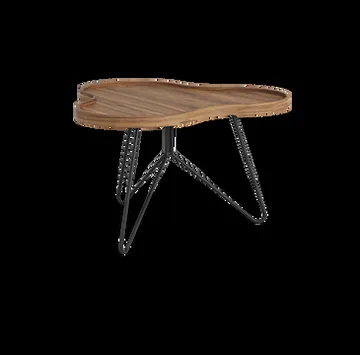 Flower mono table Special Edition 62x66 cm - H39 cm-lacquered walnut-black lacquered steel - Swedese