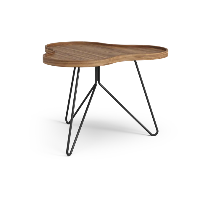 Flower mono table Special Edition 62x66 cm - H45 cm-lacquered walnut-black lacquered steel - Swedese