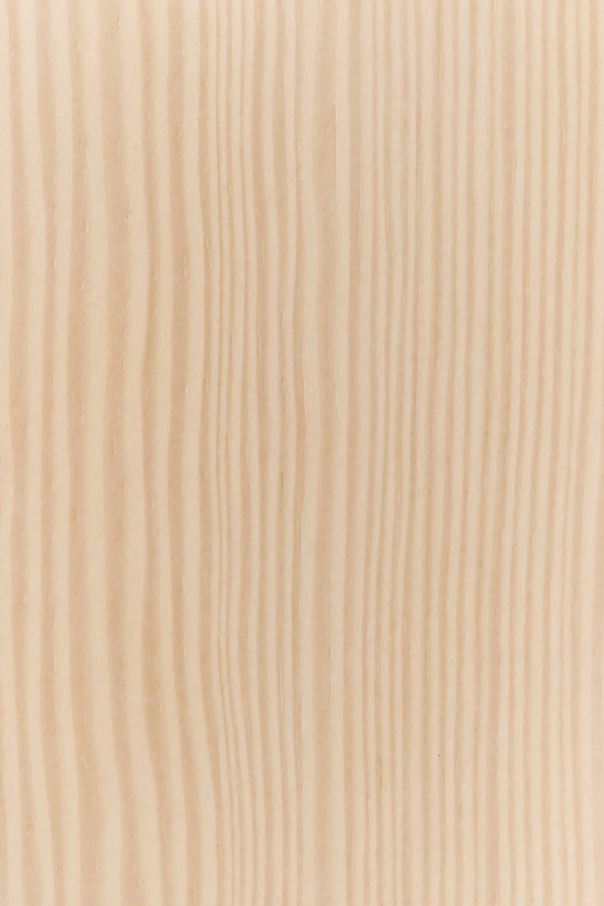 Tree wall wall-mounted coat hanger Special Edition 134 cm, White pigmented pine Swedese