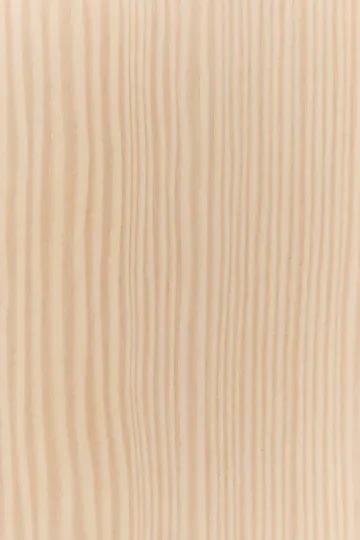 Tree wall wall-mounted coat hanger Special Edition 134 cm - White pigmented pine - Swedese