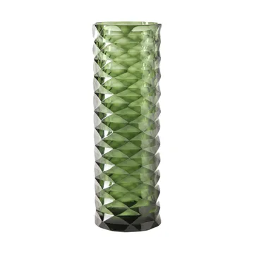 Hoijer vase Ø10x29 cm - Green - Tinted