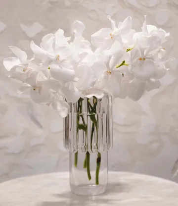 Press Medium vase - clear - Tom Dixon