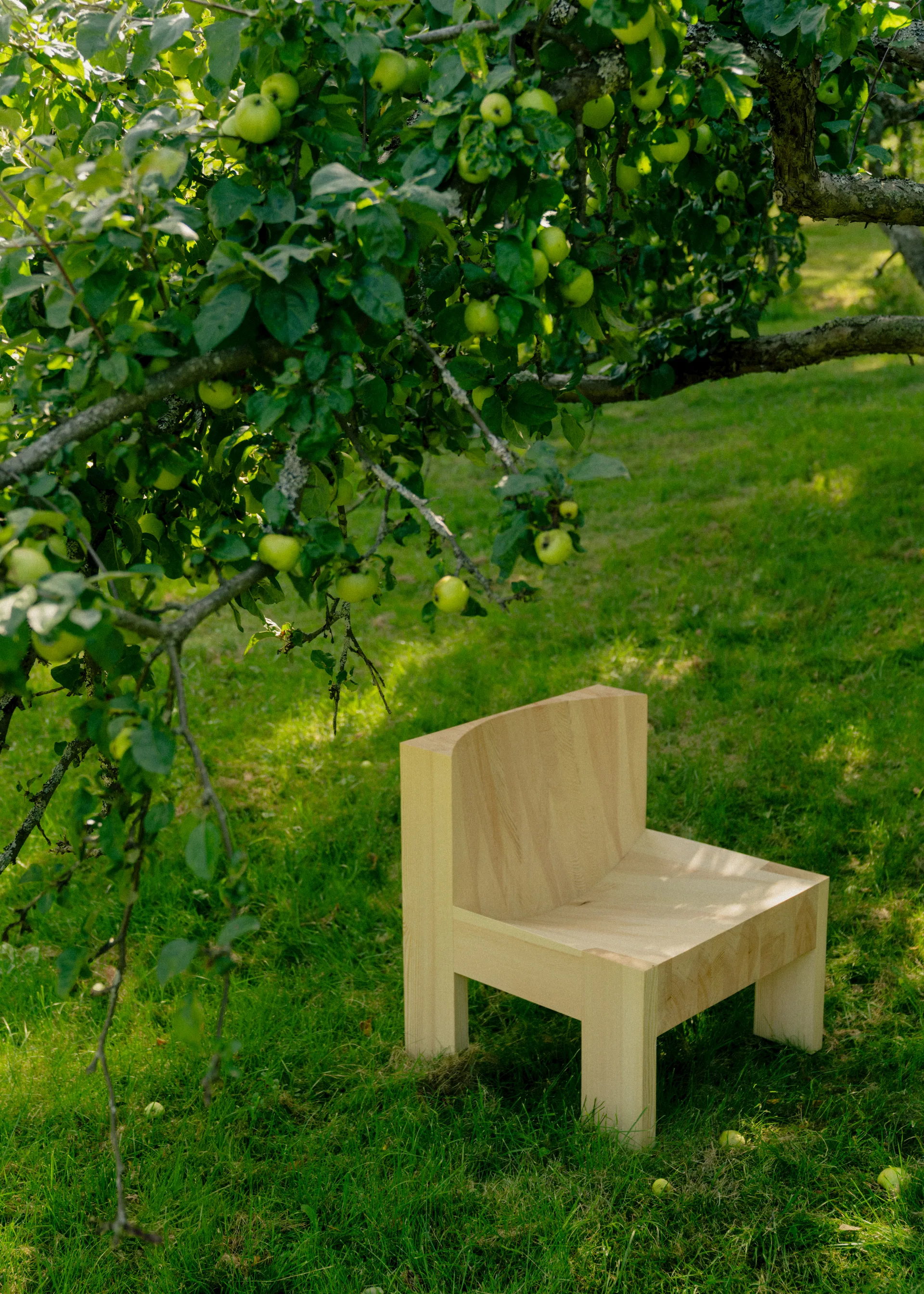 005 Lounge Chair lounge chair, Matte oil-waxed pine Vaarnii