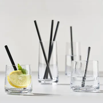 Rocks lowball glass 2-pack - 22 cl - Zone Denmark