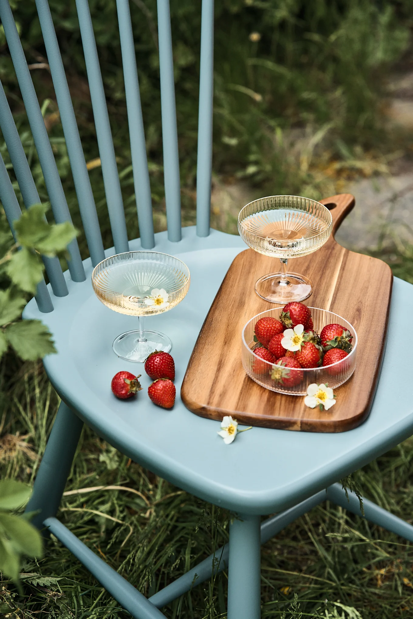 Two glasses of sparkling wine and a bowl of fresh strawberries with flowers on a blue chair in a garden.