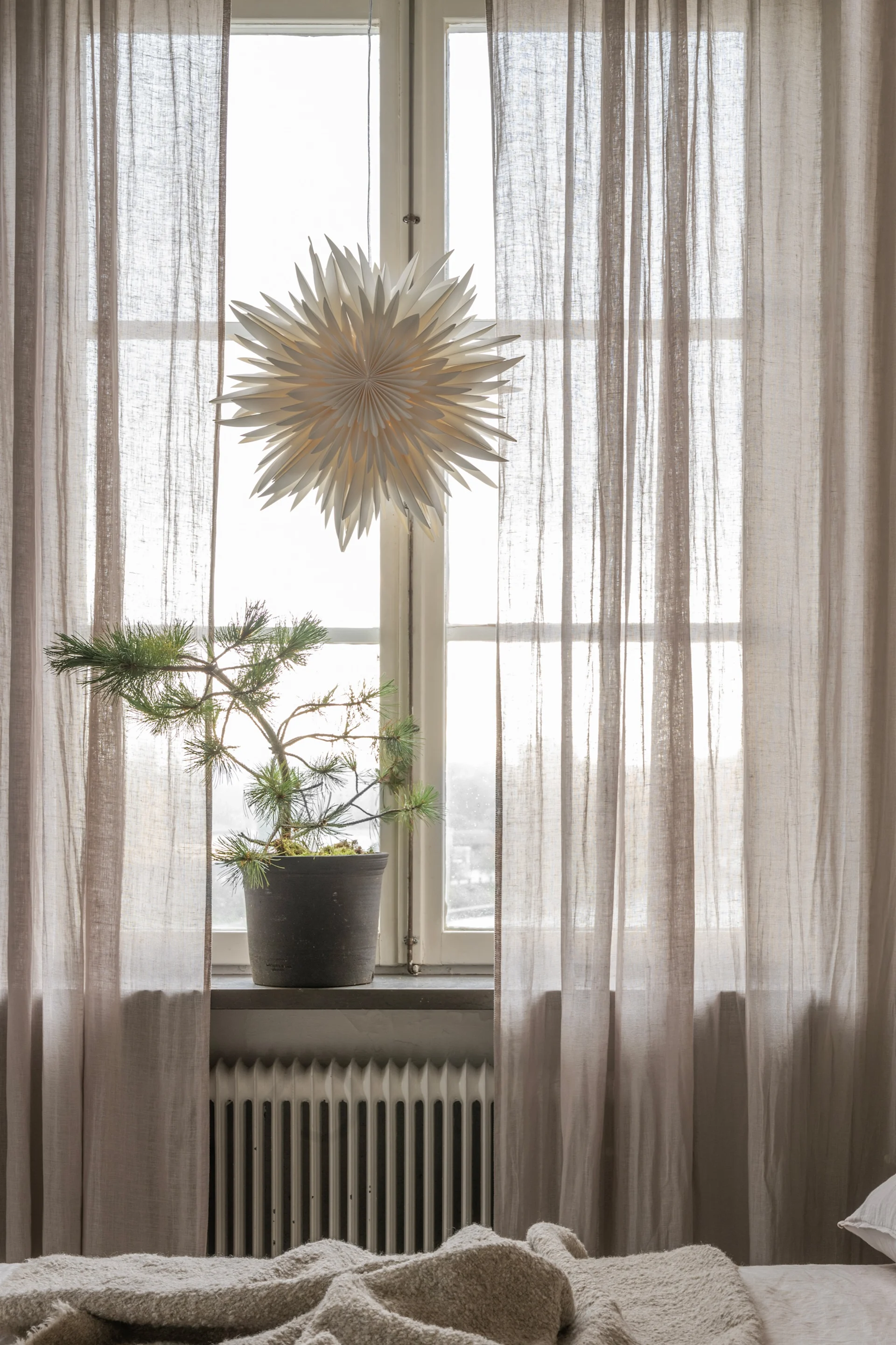Bright window with sheer curtains, a potted evergreen plant, and a white star-shaped paper lantern. Light bedding in foreground.
