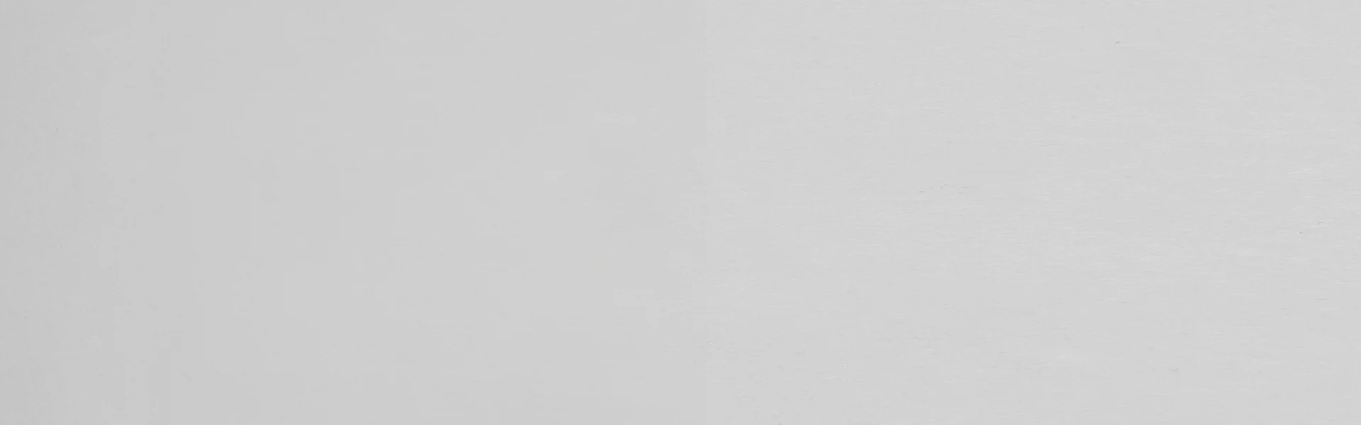 Light grey background texture.