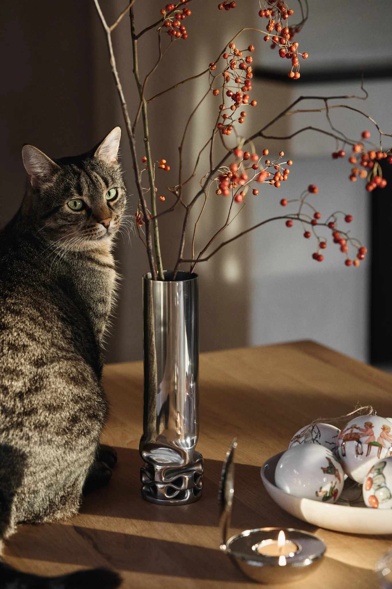 A tabby cat on a sunlit wooden table next to a silver vase with red berries, a lit candle, and white Christmas ornaments.