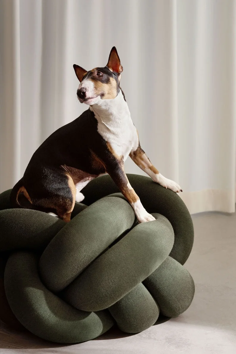 A tricolor Bull Terrier dog sits on a dark green knot-shaped pouf, looking left.