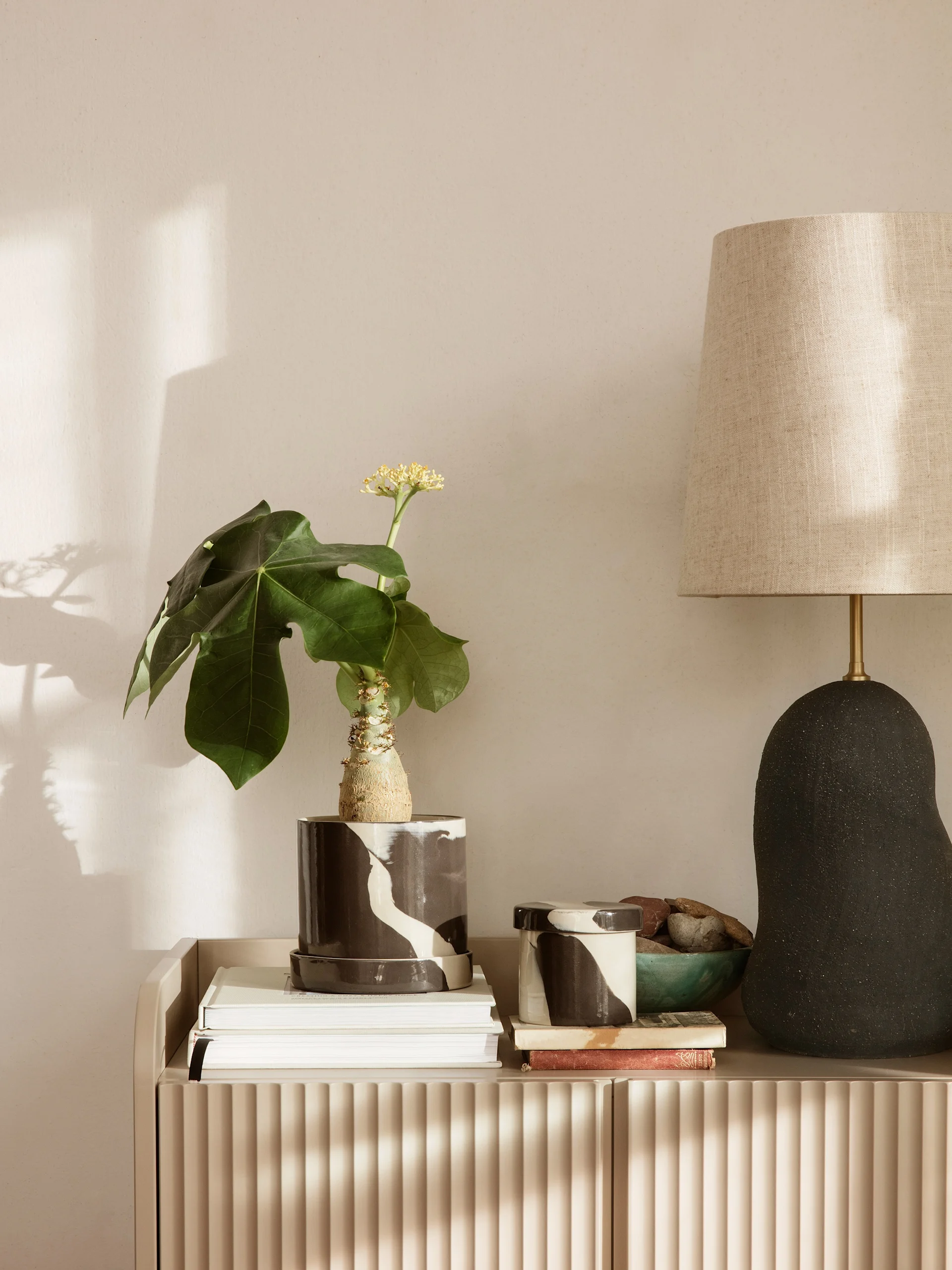 A plant in a patterned pot, stack of books, and lamp on a fluted cabinet under sunlight.