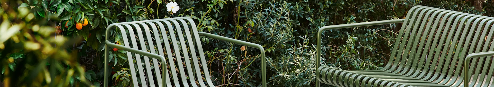 Two light green slatted outdoor chairs in a lush garden with green leaves, oranges, and a white flower.