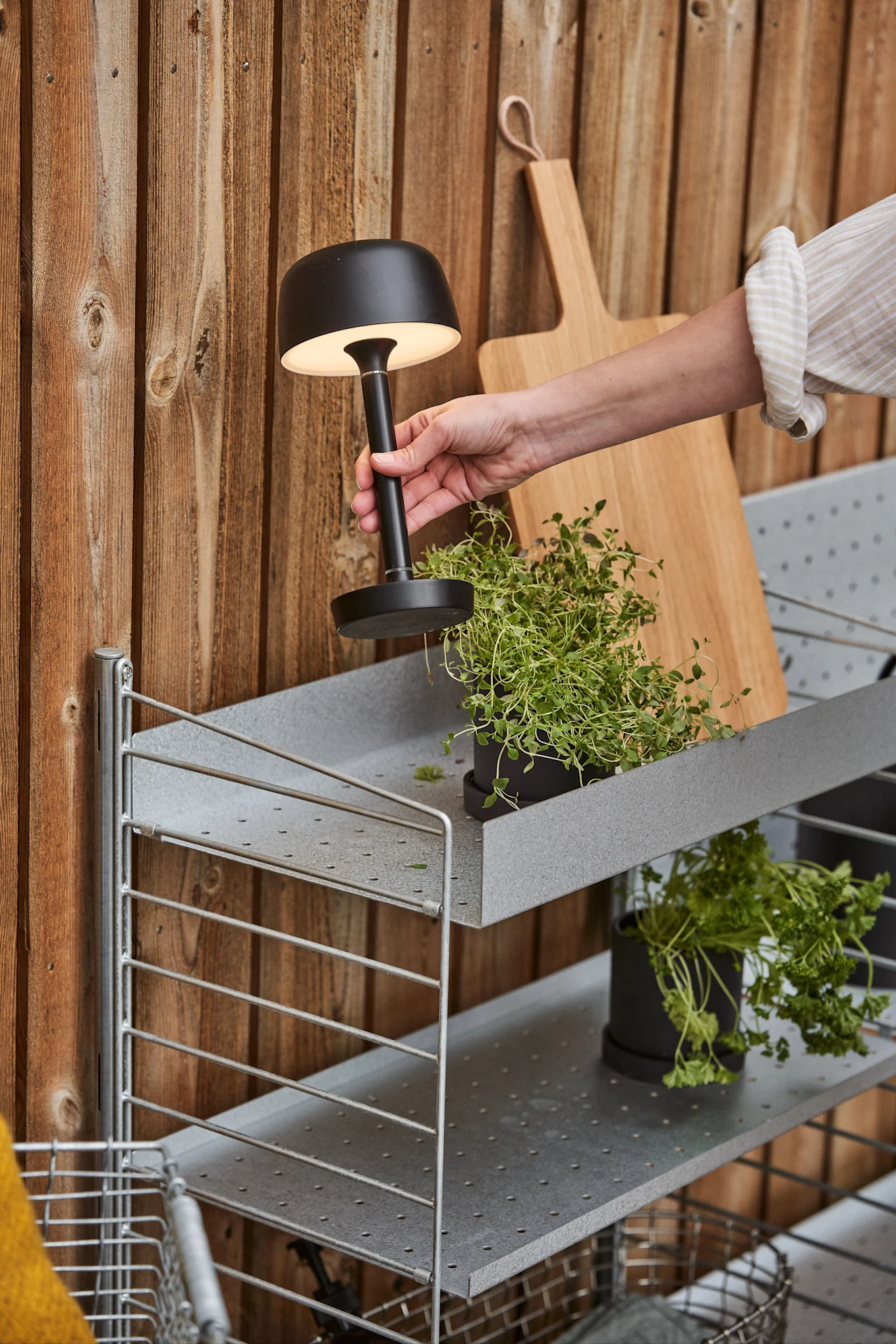 A hand places a black portable lamp with a glowing top onto a gray metal shelf next to potted herbs.