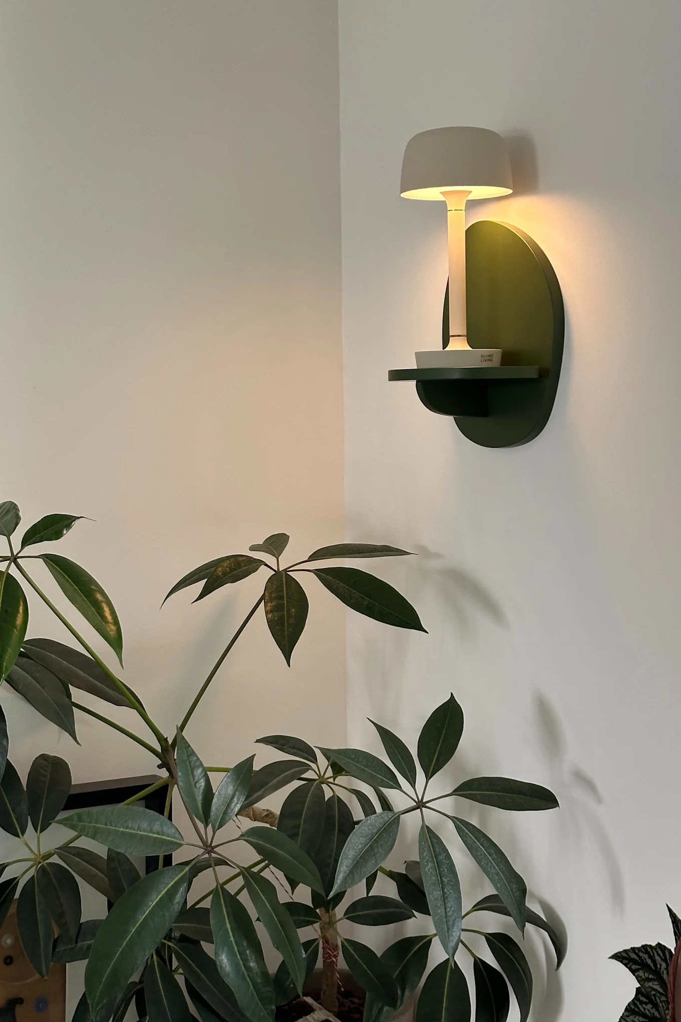 A gray mushroom-shaped lamp on a dark green wall shelf casts warm light, next to a large green plant against white walls.