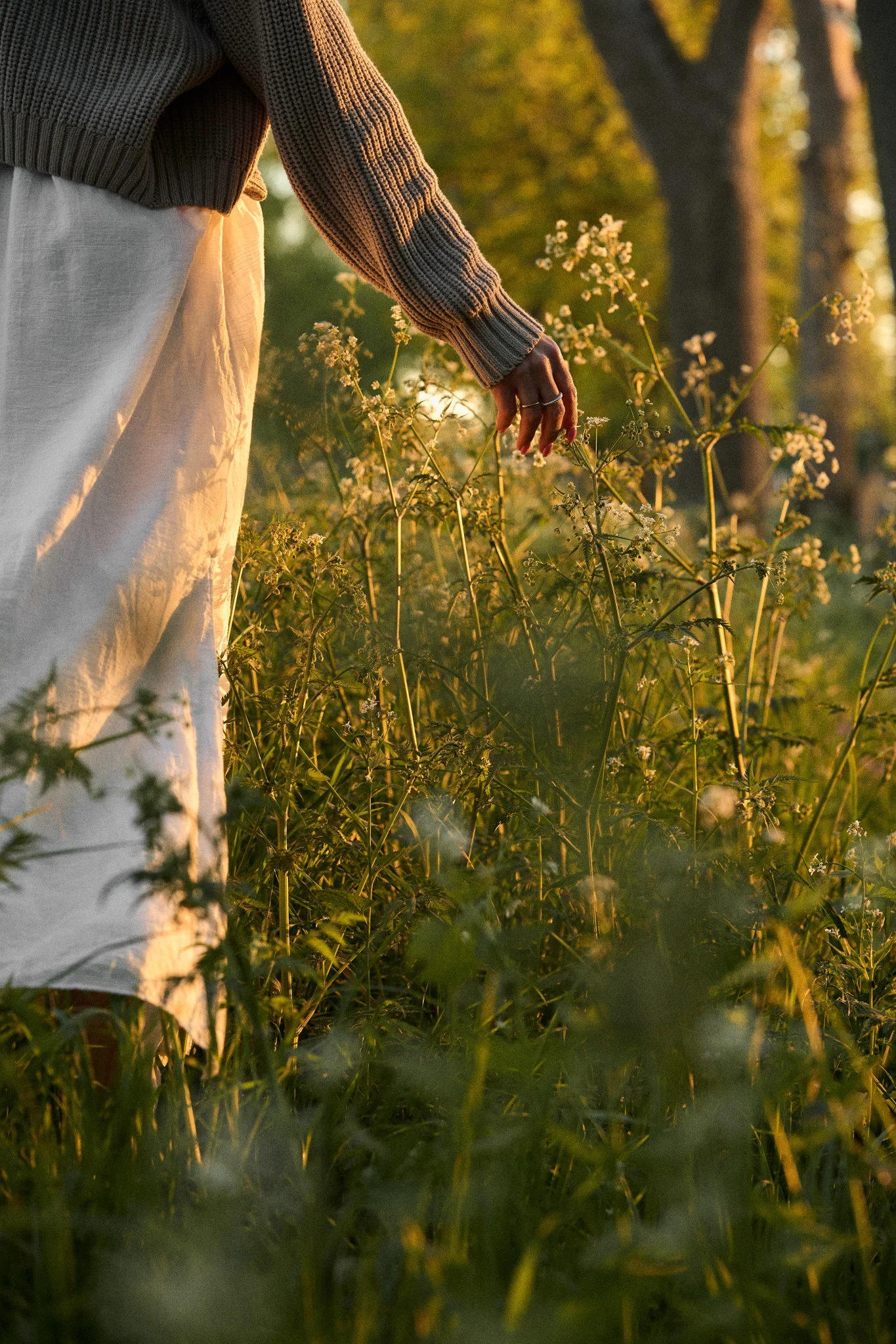 Person in a beige sweater and white skirt walks through a field of wildflowers, gently touching them, bathed in golden sunlight.