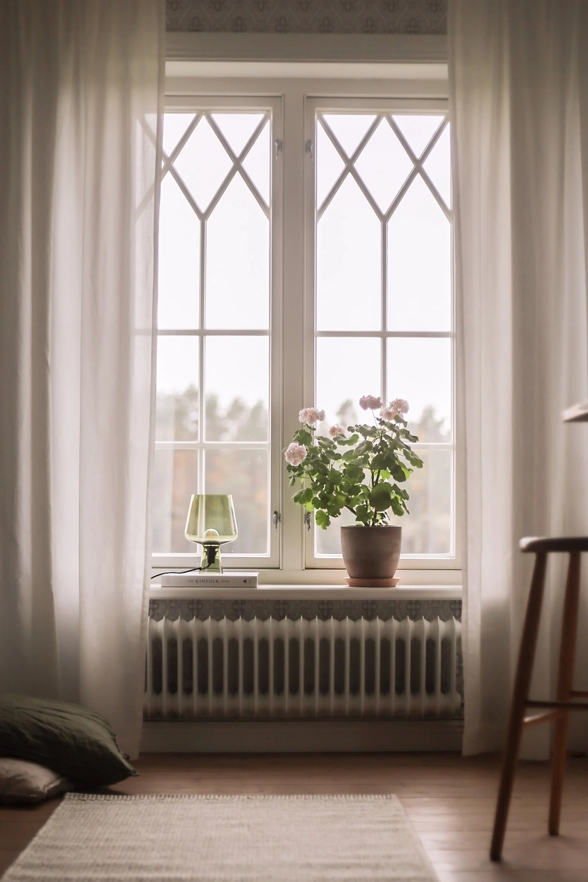Bright window with sheer white curtains, a potted pink plant, a green lamp, a white radiator, and a light rug.
