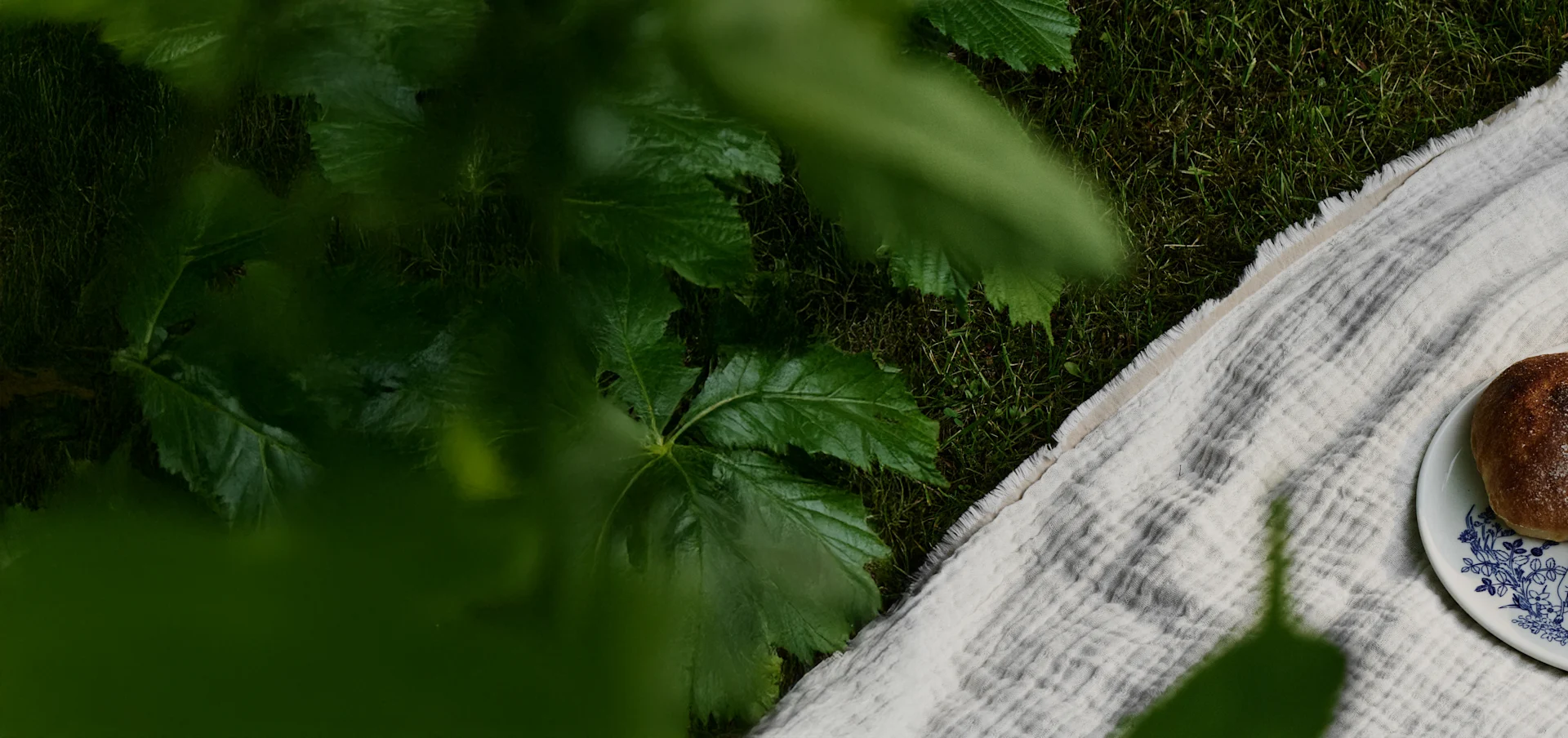 Overhead view of a picnic blanket on grass under green leaves, with a plate holding a brown baked bun.