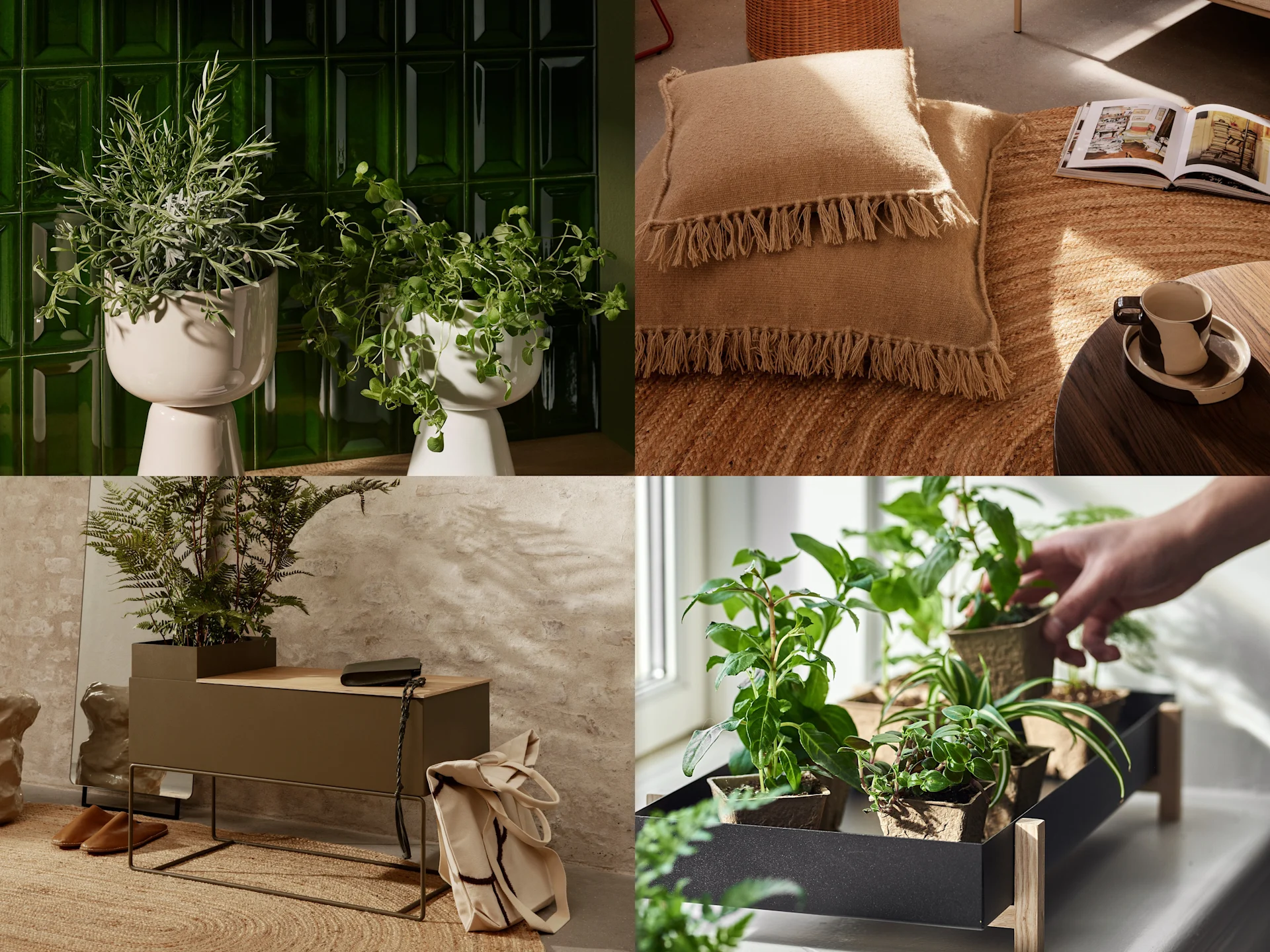 Four vignettes: potted plants, a jute rug with fringed cushions, an olive console table, and a tray of small plants.